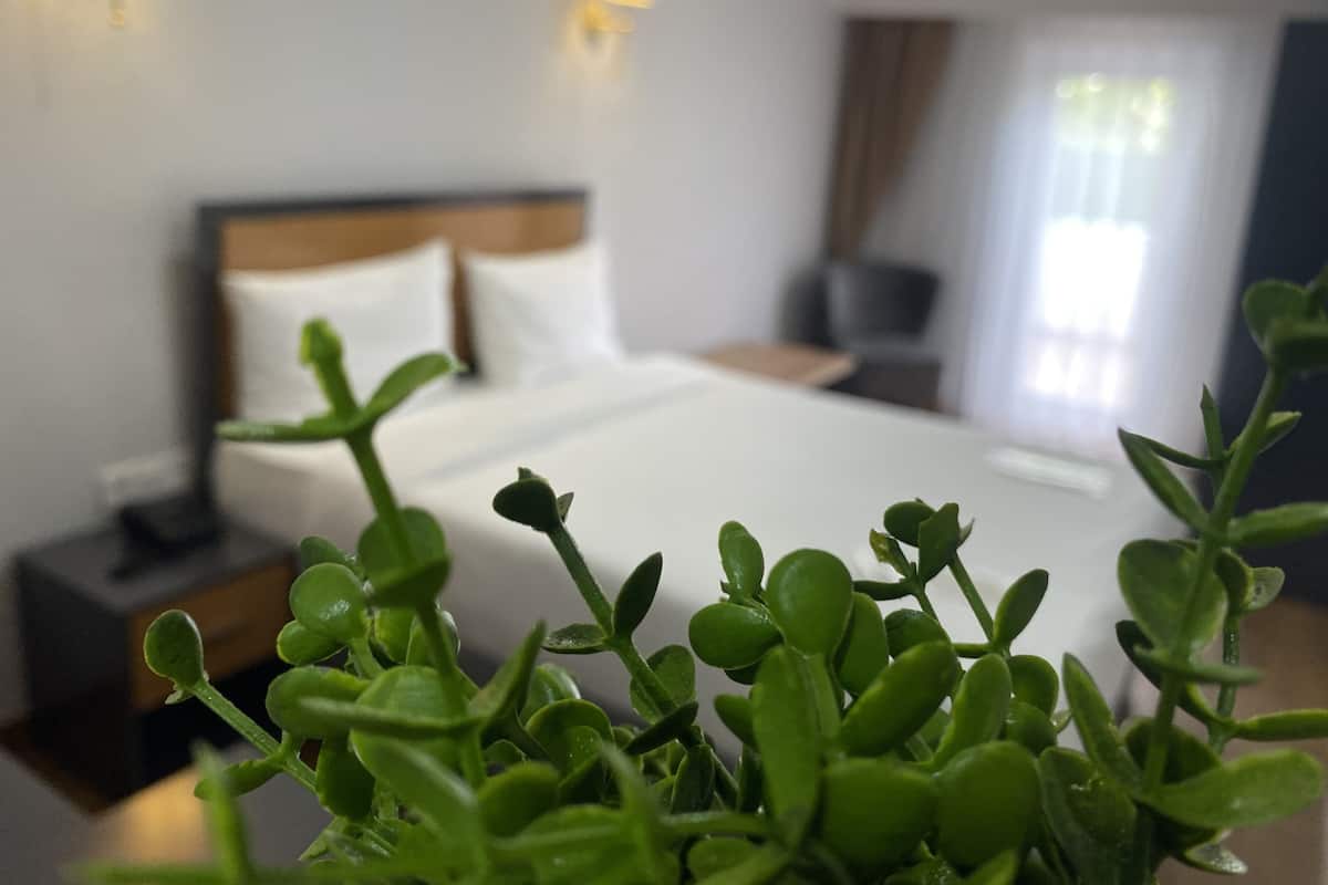 Une chambre d’hôtel avec un lit bien fait, une table de chevet et une plante en pot au premier plan.