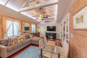 Smart TV, fireplace, books