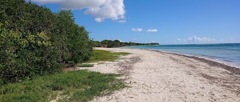 在海滩