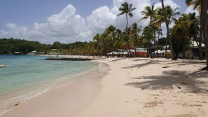 Ein Strand mit klarem türkisblauem Wasser, Palmen und einem hölzernen Steg.