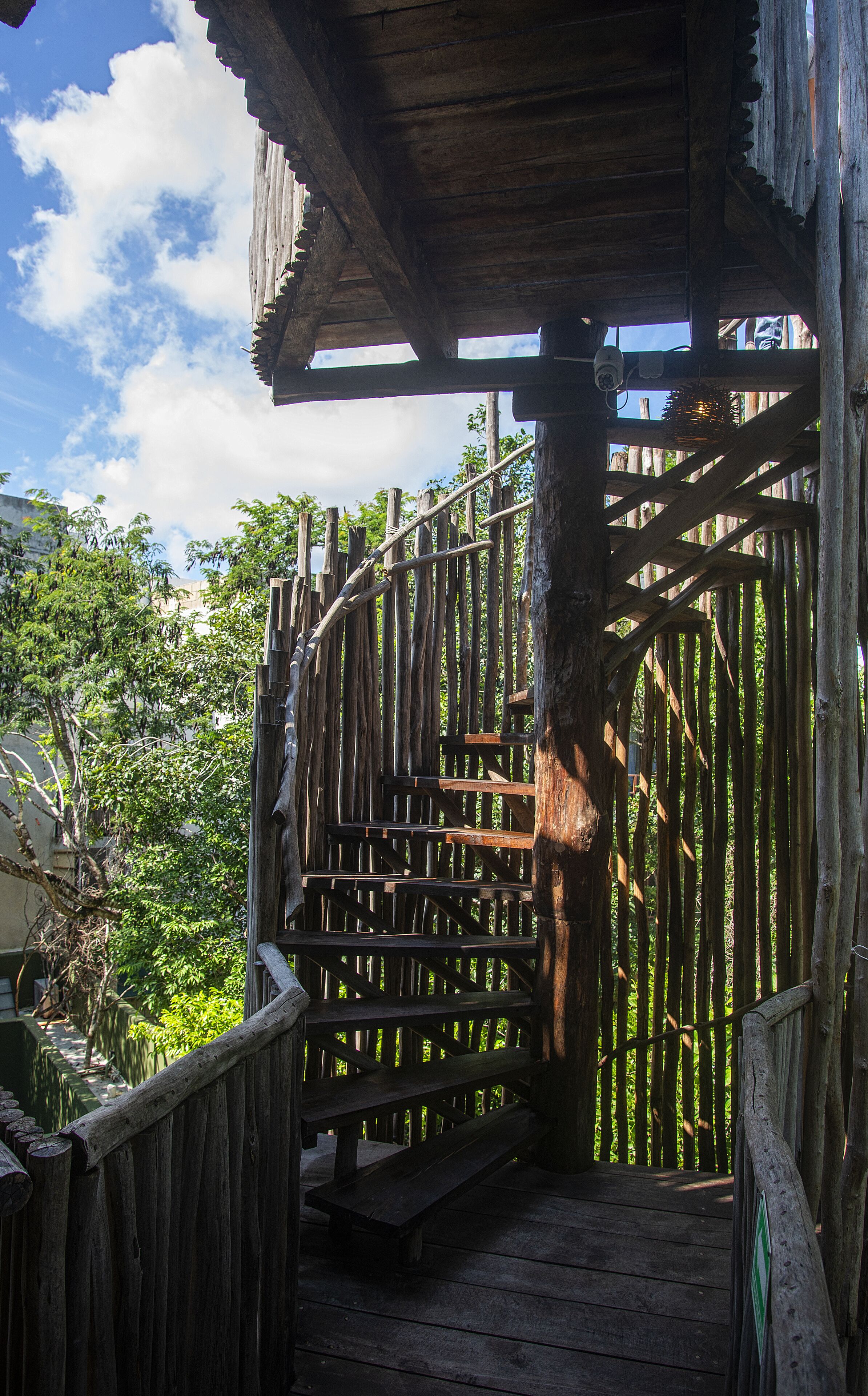 Foto - Loba Tulum Male Only