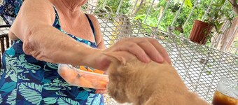 Charming 3-bedroom house in Playa Coronado with AC