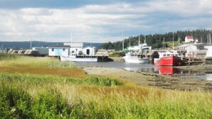 Un quai au bord de la rivière, avec des bateaux amarrés, un petit bâtiment et, au loin, une colline boisée.