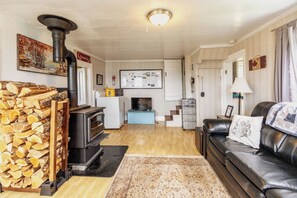 Smart TV, fireplace, books