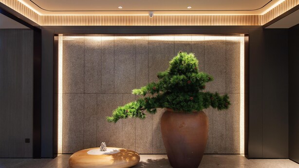 Um hall moderno com uma grande planta em vaso, uma escultura de madeira e uma parede com textura.