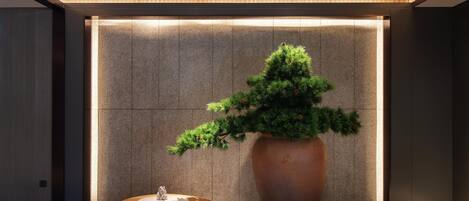 Vue depuis l’hébergement