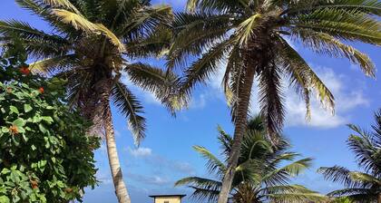Stunning 2 Condos up to 12 People. Free Snorkeling & Fishing