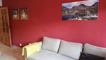 Una televisión, una chimenea, libros