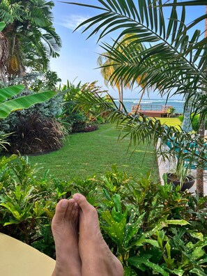 Une vue d’un jardin luxuriant, avec un sentier menant à une plage, agrémenté de palmiers et d’une variété de plantes.
