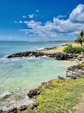 Un paysage côtier avec une eau claire, des rivages rocheux et un palmier.