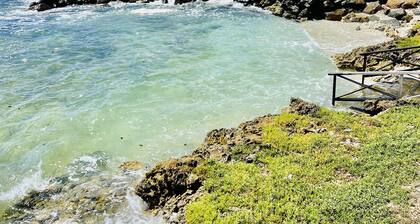 Luxurious Ocean Front Villa with its own private infinity pool & beach!