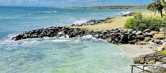 Luxurious Ocean Front Villa with its own private infinity pool & beach!