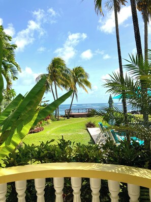 Property grounds - Luxurious Ocean Front Villa with its own private infinity pool & beach! (Lowlands)