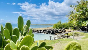 Un cactus in primo piano, con vista su una costa rocciosa e un cielo azzurro limpido sullo sfondo.