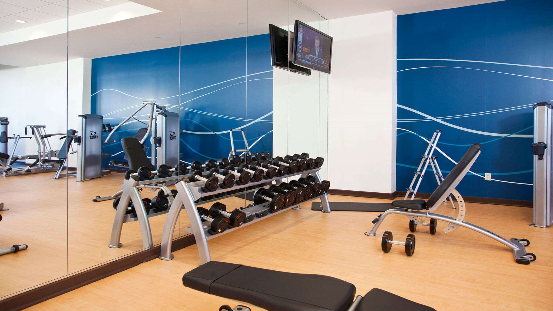 Une salle de sport équipée de matériel de musculation, d’un téléviseur et d’un miroir.
