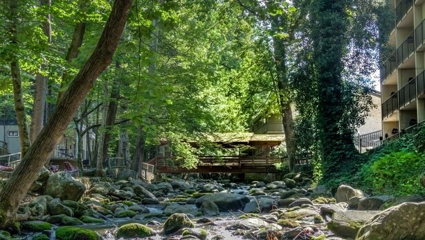 Eine natürliche Umgebung mit einem Bach, Felsen und Bäumen. Im Hintergrund steht eine Holzhütte.