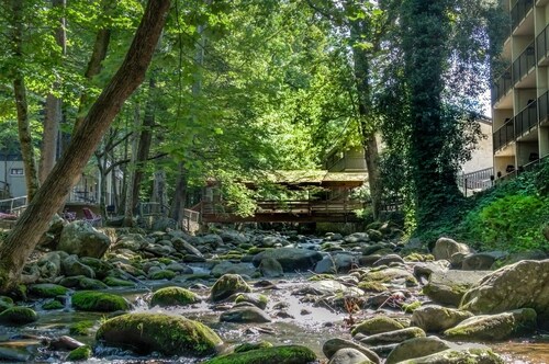 Honeymoon Cottage, creek view.
