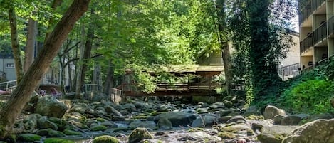 Overnatningsstedets område