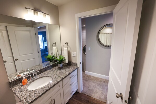 A bathroom with a granite countertop sink, white cabinets, a mirror, and a potted plant.