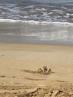 Spiaggia