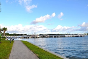 Marina