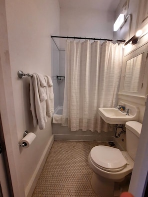 Hair dryer, towels, soap, shampoo