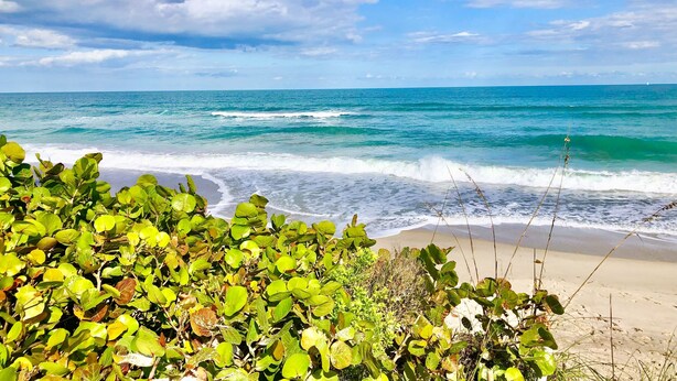 Ein Strand mit Wellen, Grünflächen und blauem Himmel.