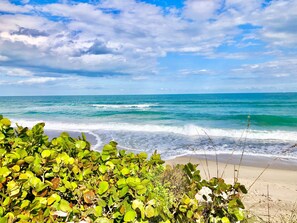A beach with waves, greenery, and a clear sky. - Melbourne Beach oceanfront paradise unit B 
Look for last minute special deals (Melbourne Beach)