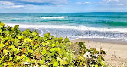 Melbourne Beach oceanfront paradise unit B
Look for last minute special deals