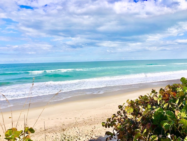 A beach with clear turquoise waters, a sandy shore, and some vegetation in the foreground.
