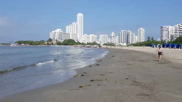 A beach with a city skyline in the background, a sandy shore, and some scattered debris. - ESTUDIO EN CARTAGENA CERCA AL MAR 202 (Cartagena)
