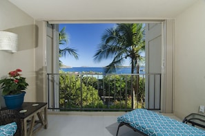 Interior - Villa Rosa- Newly Renovated 1 Bedroom Condo - Sleeps 4, Great View & 2 Pools (St Thomas)