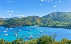 Marina - Villa Rosa- Newly Renovated 1 Bedroom Condo - Sleeps 4, Great View & 2 Pools (St Thomas)