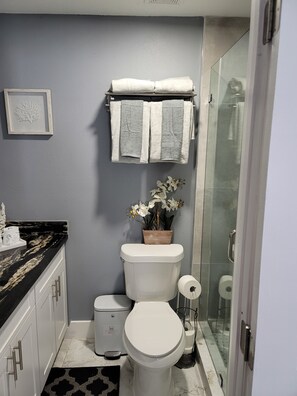 Shower, hair dryer, towels, soap - luxurious room close to everything (Tampa)