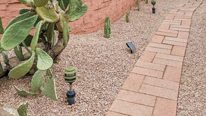 A courtyard with a cactus plant, a brick wall, and a pathway leading to a wooden door. - Western Moon - Private Retreat with Pool and Hot Tub (Tucson)