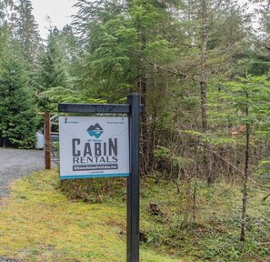 Welcome to Mt. Rainier Cabin Rentals, nestled in a serene forest setting.