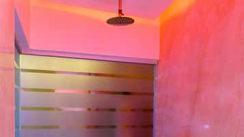 Basic Room | Bathroom | Shower, towels