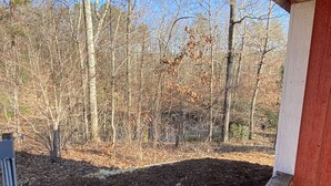 A view of a forested area with a wooden deck and mulch ground cover.