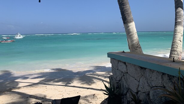 A beach with a stone wall, palm trees, and a boat in the water. - Recently refurbished, five star facility (El Cortiesito-)