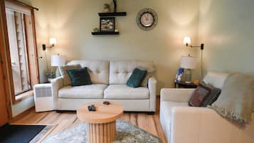 Smart TV, fireplace, books