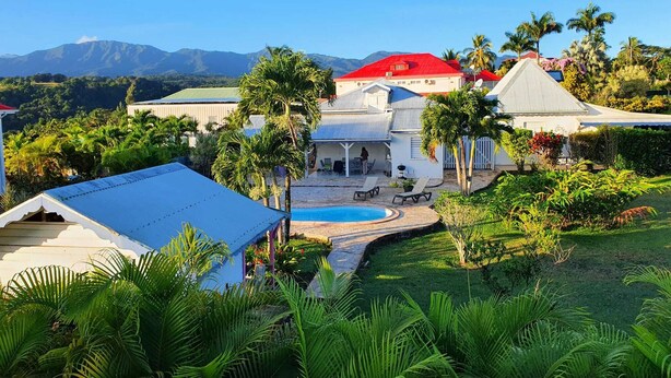 A large house with a swimming pool, surrounded by lush greenery and palm trees.