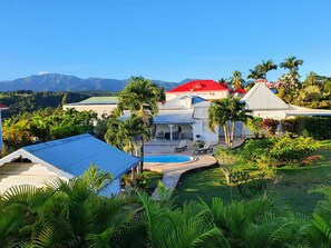 A large house with a swimming pool, surrounded by lush greenery and palm trees.