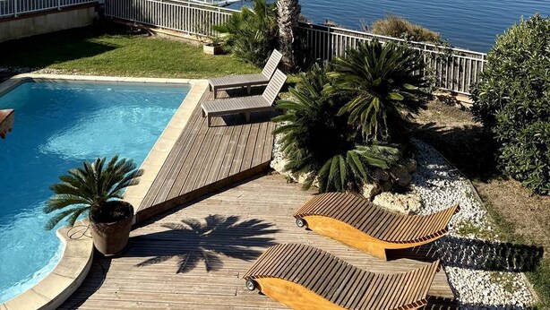 A pool area with a wooden deck, lounge chairs, and a palm tree.