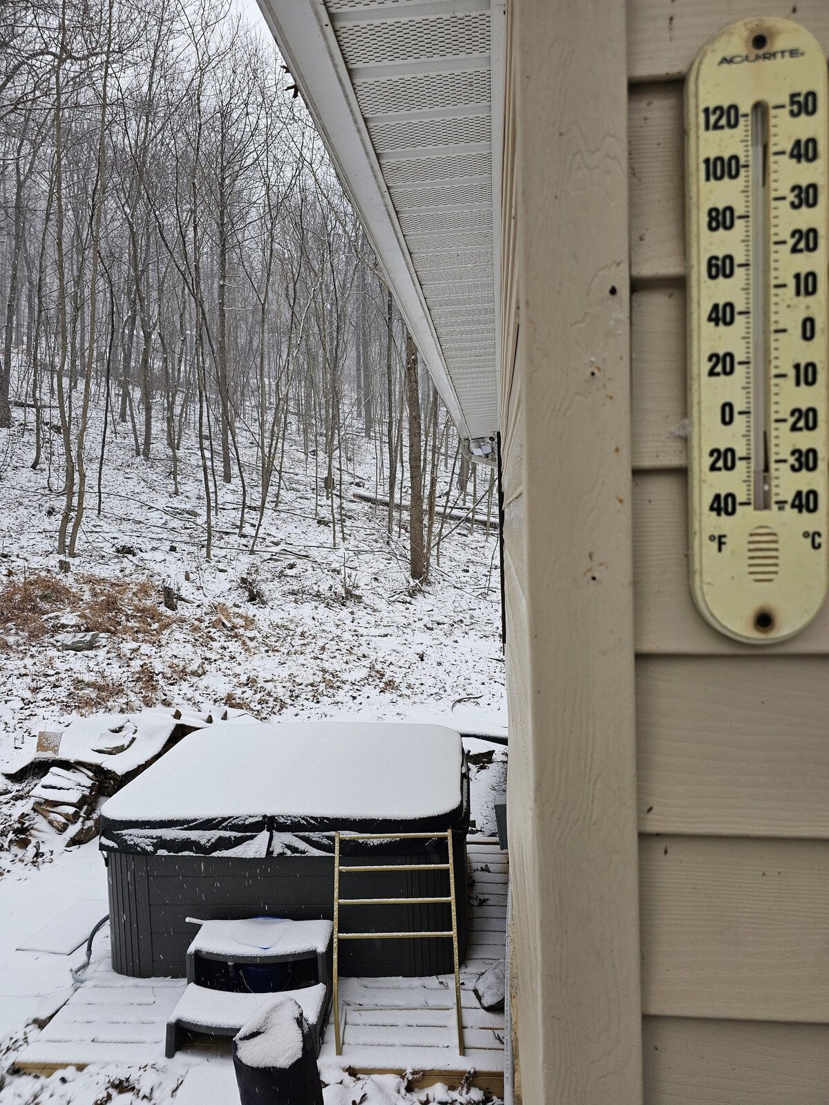 Foto de perfil del anfitrión