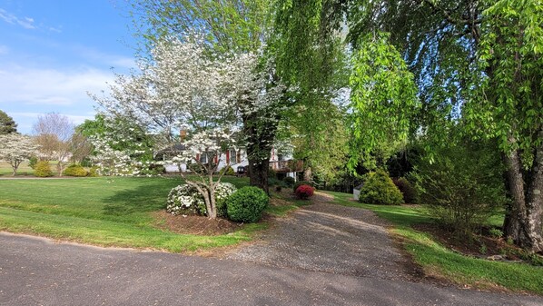 Terrain de l’hébergement 