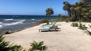 Une plage avec deux chaises longues et un palmier, donnant sur l’océan.
