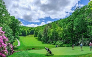 Golfe
