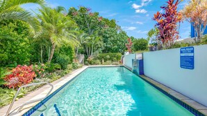 Una piscina con agua cristalina azul, rodeada de exuberante vegetación y una cerca azul.