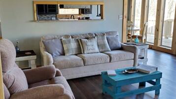 Smart TV, chimenea y reproductor de DVD