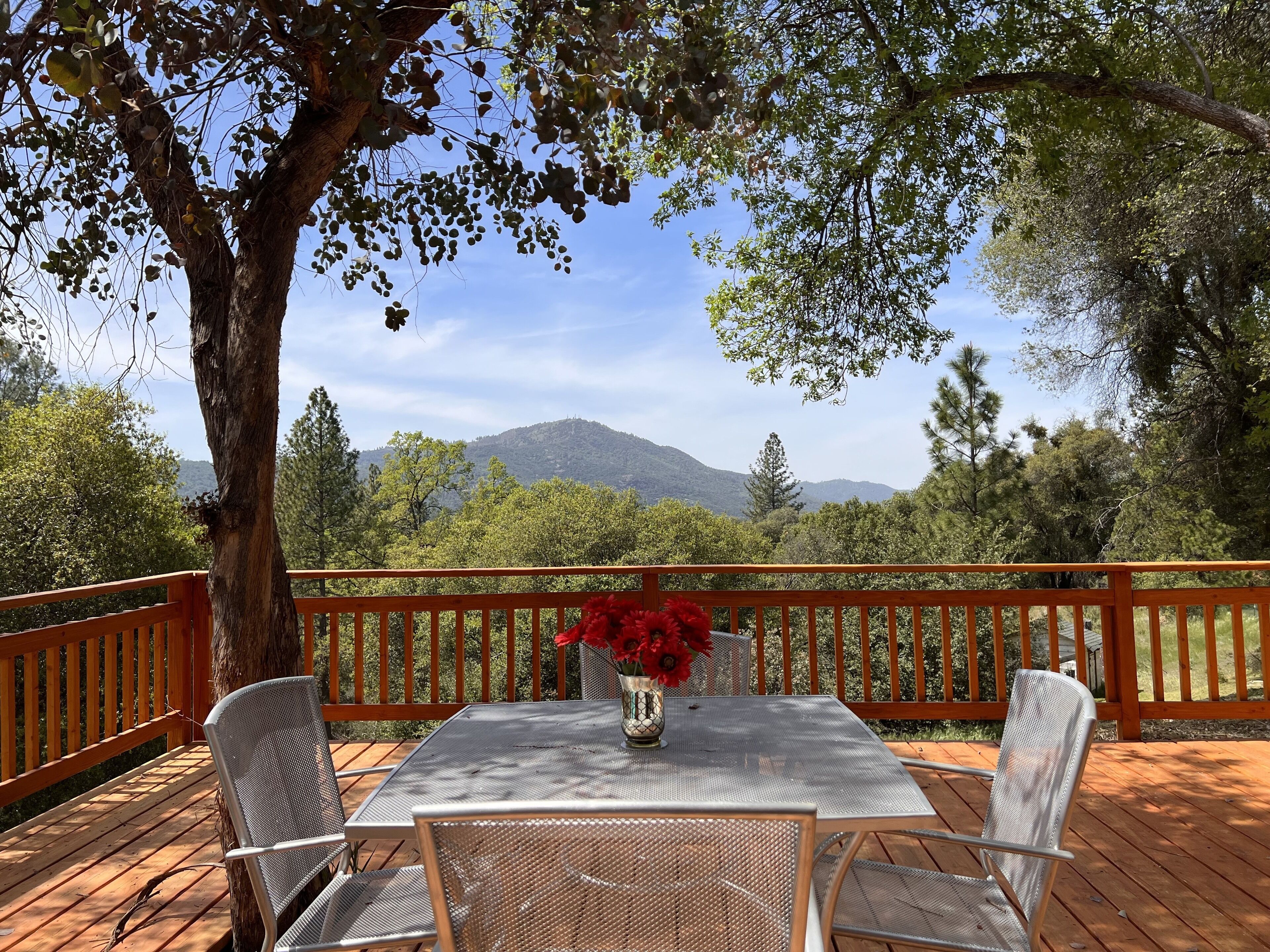 Mountain Views- Perfect for your family Yosemite Getaway